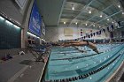 Swimming & Diving vs RWU  Swimming & Diving vs Roger Williams University. - Photo by Keith Nordstrom : Wheaton, Swimming